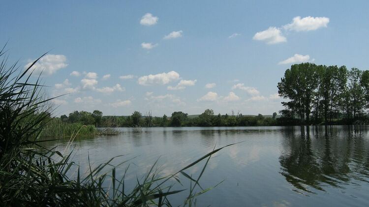 Три нови защитени зони са обявени на територията на област Хасково