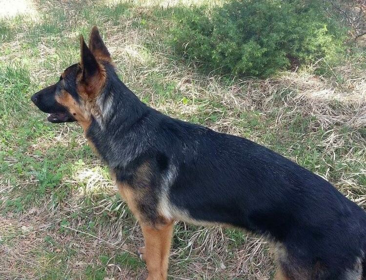 снимката е илюстративна 