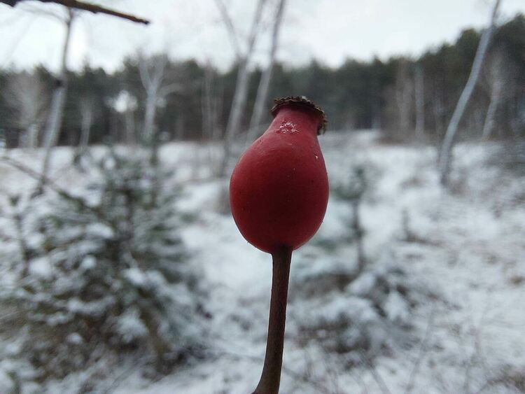 Променлива облачност днес със силен вятър в по-голямата част на страната