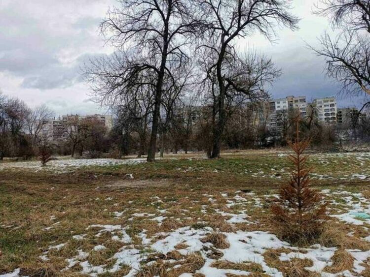 По сигнал от граждани кметът на Община Радомир разпореди да бъде почистена замърсена площ в градския парк, с нерегламентирано изхвърлени боклуци