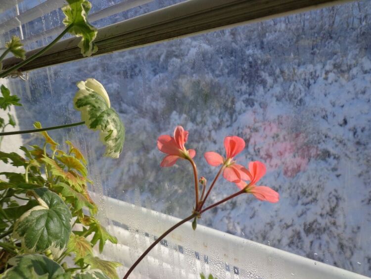 Днес облачността ще е по-често значителна и на места ще превали