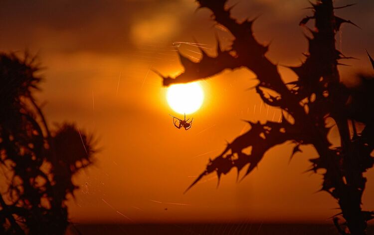 Първо място за снимка през 2023 г. , Катерина Захариева -ПМГ "Иван Вазов" Гр. Димитровград
