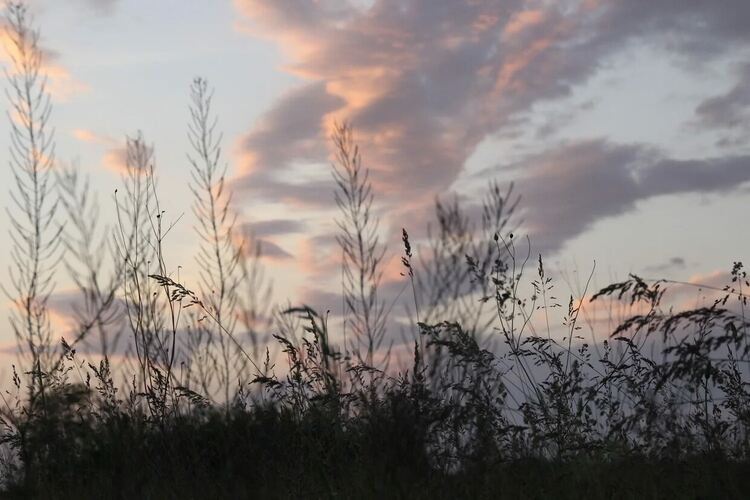 Облачно време в началото на седмицата