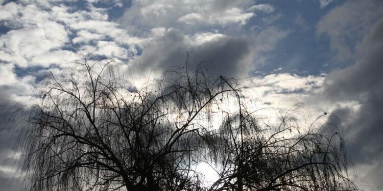 Облачно и ветровито във вторник, на места с превалявания от сняг