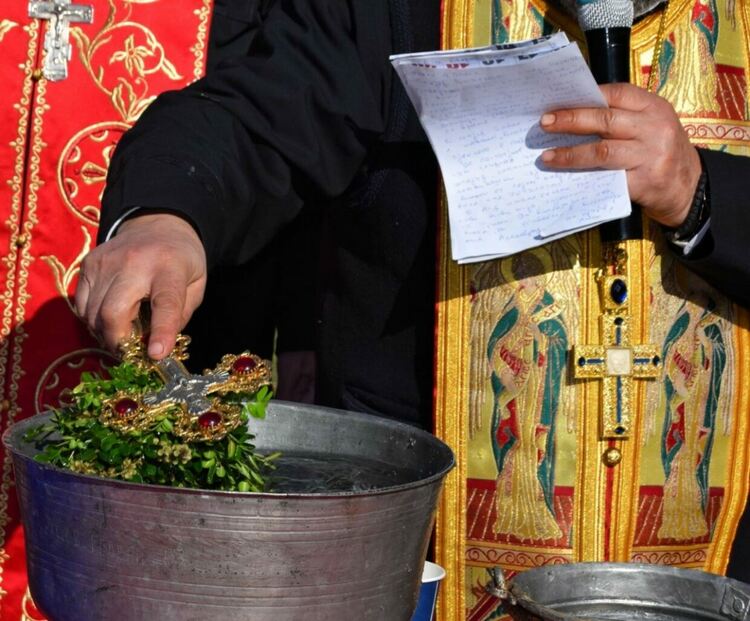 24-годишен пловдивчанин спечели коча на борбите край Асеновград 