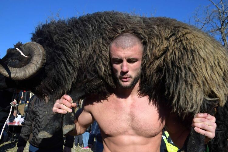 24-годишен пловдивчанин спечели коча на борбите край Асеновград 