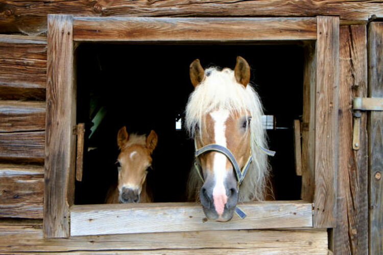 Разкъсана облачност, но остава топло за февруари