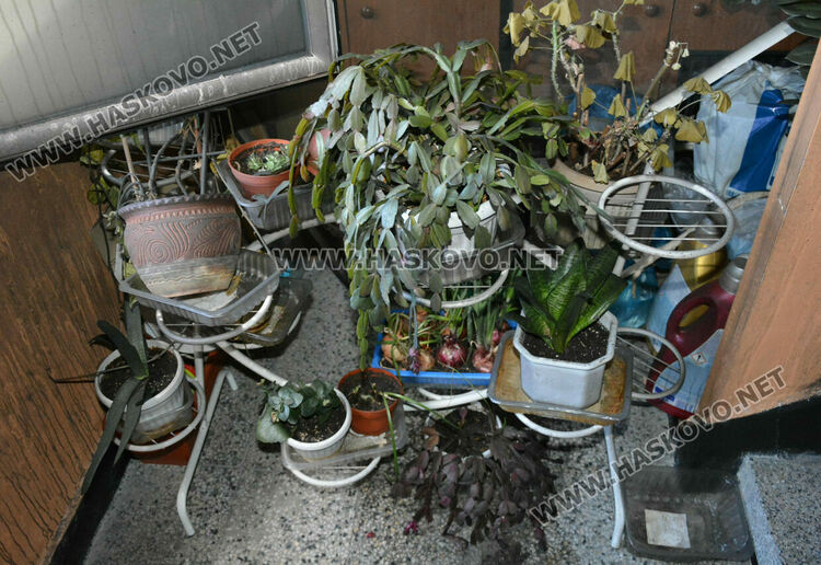 Част от собствениците на обгорелия след пожар вход се изнасят при роднини