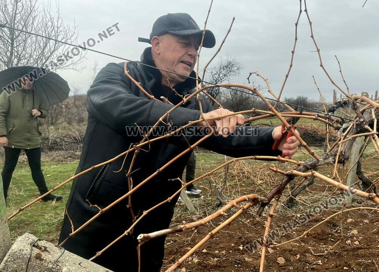 Празник в Сусам на Трифон Зарезан