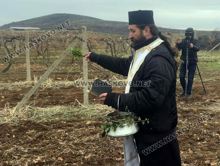 Празник в Сусам на Трифон Зарезан