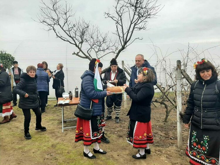 В Градина зарязаха лозята