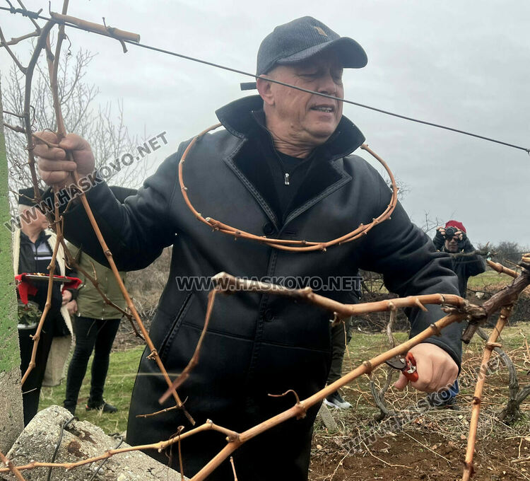 Празник в Сусам на Трифон Зарезан