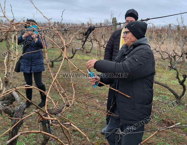 80:20:10- формулата на елексира за Трифон Зарезан в с. Узунджово