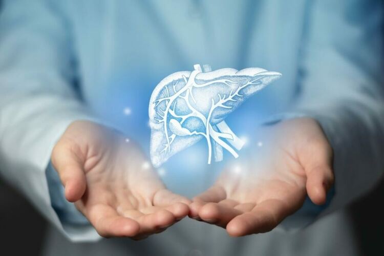 Защо страда черният дроб: как да спрем преяждането