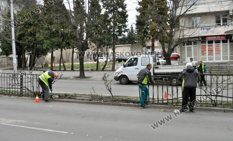 18-годишна с Ауди разби огражденията на „Раковски“ 