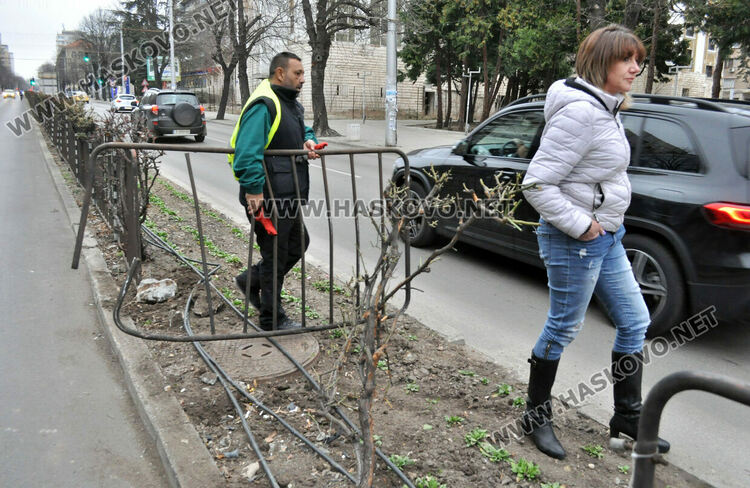 18-годишна с Ауди разби огражденията на „Раковски“ 