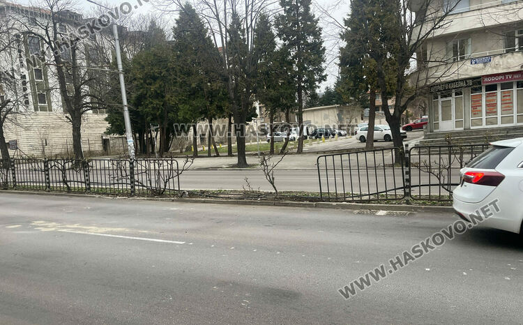 18-годишна с Ауди разби огражденията на „Раковски“ 