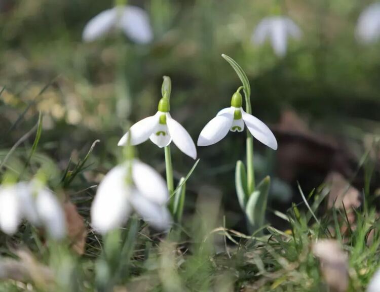 Приятно и слънчево време днес