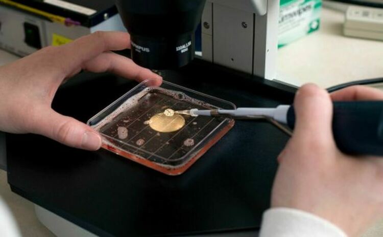 ''Замразените ембриони са деца'': Решение на Алабама поставя под въпрос инвитро процедурите