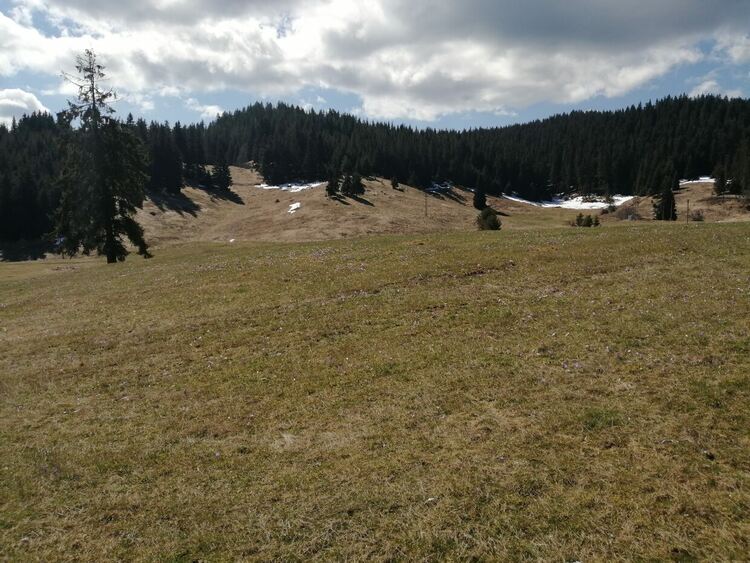 Променлива облачност в планината, която ще се разкъсва и намалява