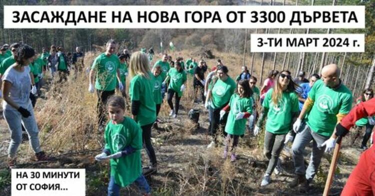 Инициатива за засаждане на „Гората.бг“. в Радомир
