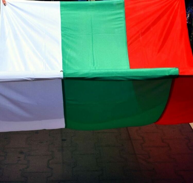 100 знамена за асеновградчани по повод 3-ти март 