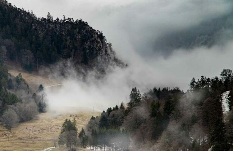 Началото на седмицата започва с мъгли на много места