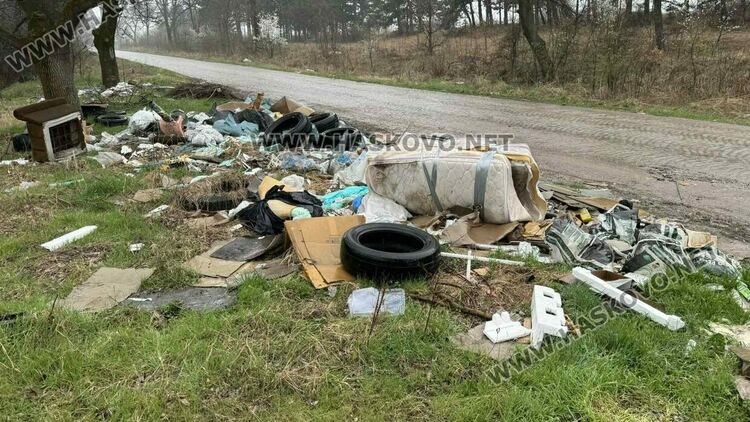 Разчистват сметище от гуми, покъщнина и труп на животно край път в Хасково