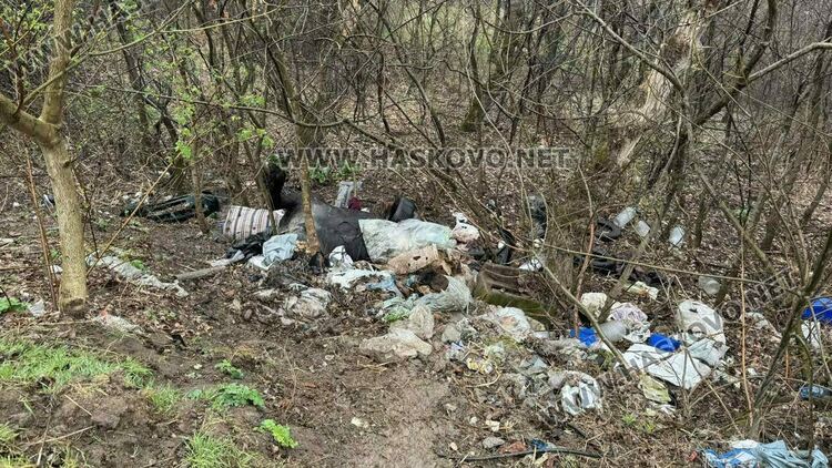 Разчистват сметище от гуми, покъщнина и труп на животно край път в Хасково