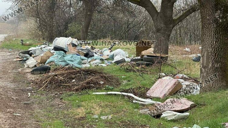Разчистват сметище от гуми, покъщнина и труп на животно край път в Хасково