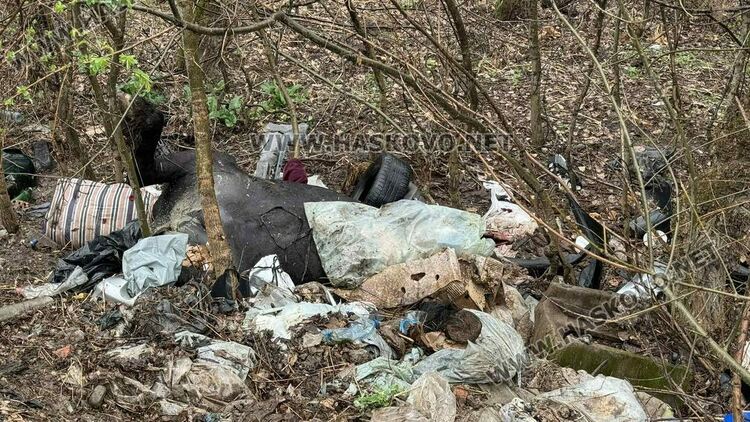 Разчистват сметище от гуми, покъщнина и труп на животно край път в Хасково