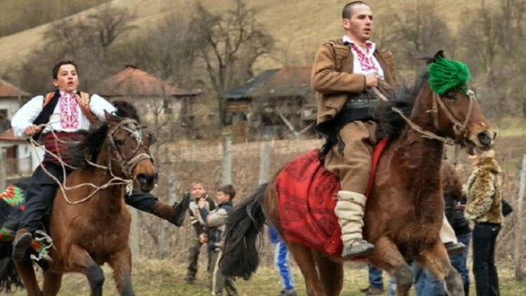 Състезателни битки с тежковозни породи коне организират за Тодоровден в пернишкото село Люлин