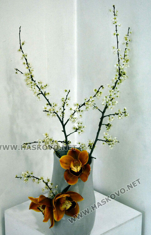 Икебана и картини в хармония и пролетни трепети в новата изложба на галерия „Форум“