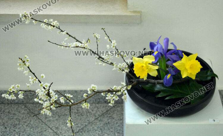 Икебана и картини в хармония и пролетни трепети в новата изложба на галерия „Форум“