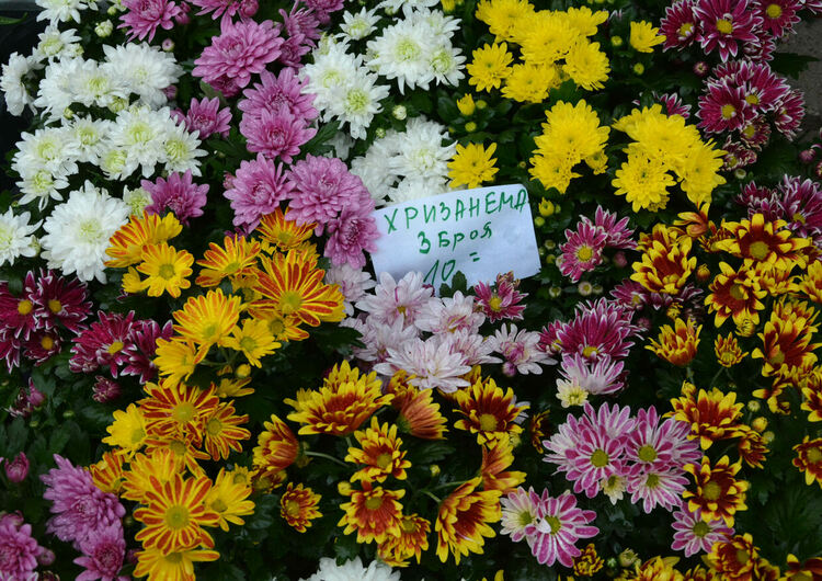 Вечна роза за любимата жена