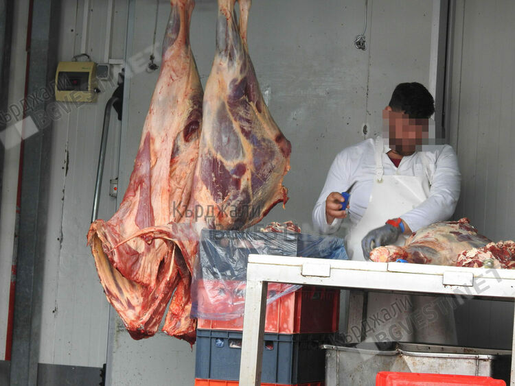 222 са свободните позиции на трудовата борса в Кърджали,търсят се обезкостители за кланица