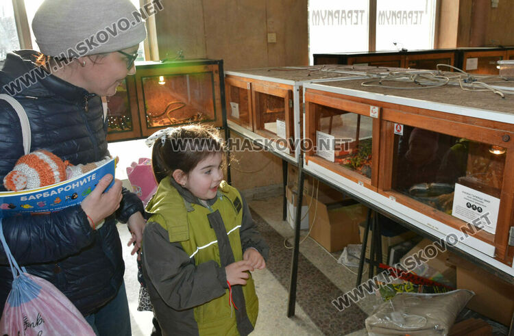 Показват 44 вида влечуги в Хасково, сред тях е най-отровната змия в Индия