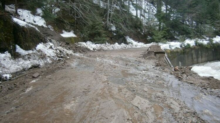 Снимката е илюстративна