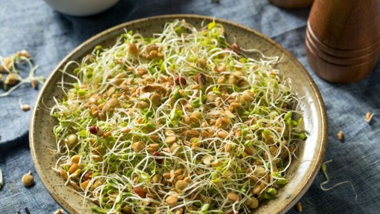 10 ползи от консумацията на кълнове