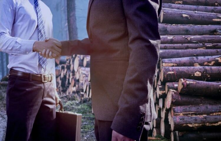 Стражари, апаши и проблемите с държавните горски фирми