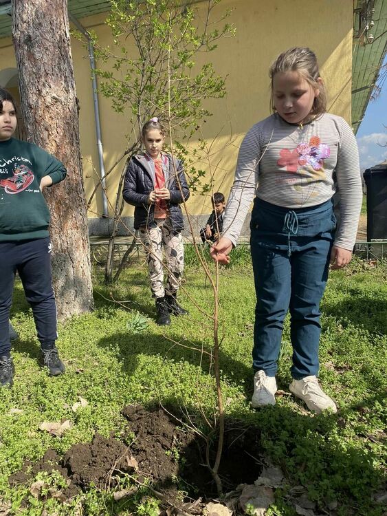 Ученици засадиха храсти в двора на училището си