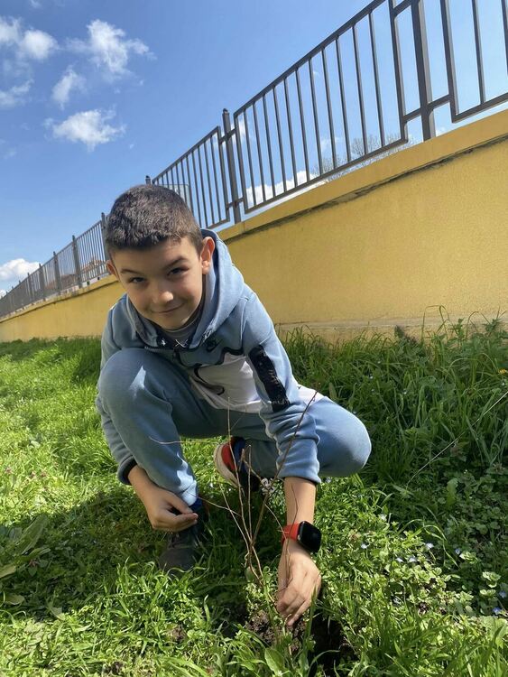 Ученици засадиха храсти в двора на училището си