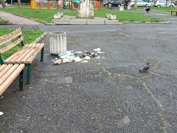 Колонката на редактора:Как да опазим Кърджали от кърджалийци?