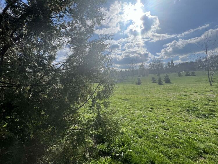 Слънчево днес с температури до 15 градуса