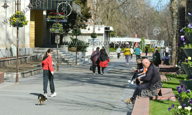 Висшистите в работоспособна възраст са с най-висок коефицент на заетост в региона на Хасково