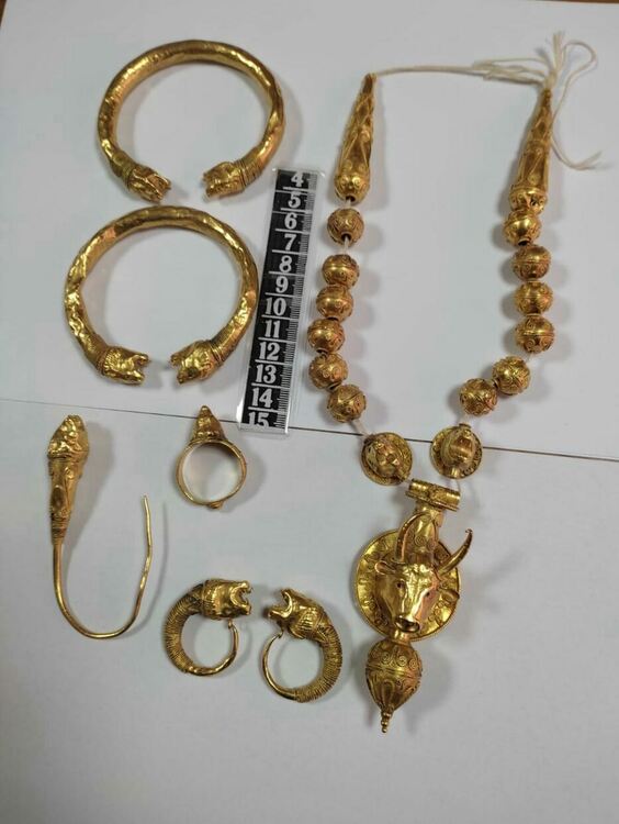 12 души задържани при акция на антимафиотите за престъпления с културни ценности