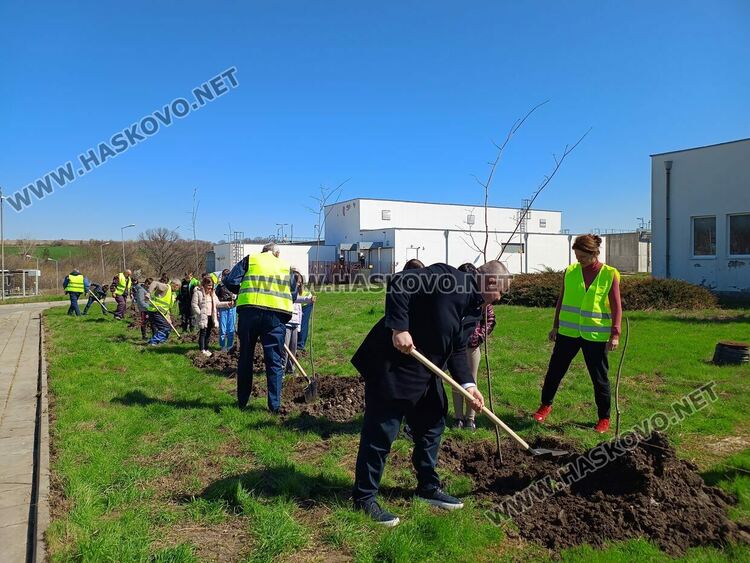 Отбелязаха Световния ден на водата със засаждане на над 100 дръвчета 