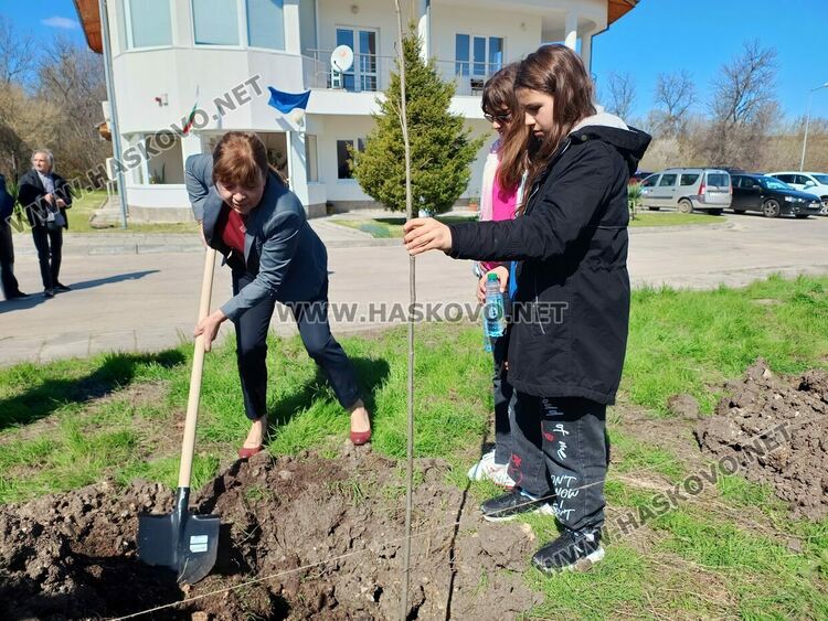 Отбелязаха Световния ден на водата със засаждане на над 100 дръвчета 