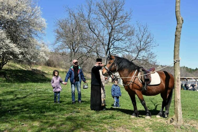 Проведоха се Тодоровите кушии край Асеновград 