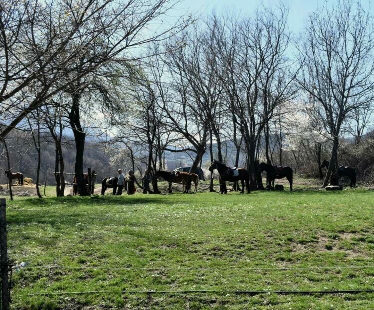 Проведоха се Тодоровите кушии край Асеновград 